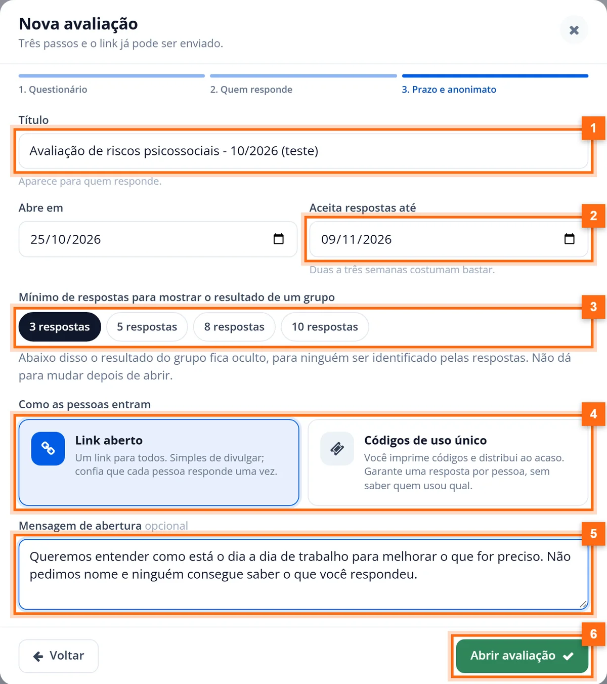Etapa Prazo e anonimato com título, data final, mínimo de 3 respostas, link aberto e mensagem de abertura